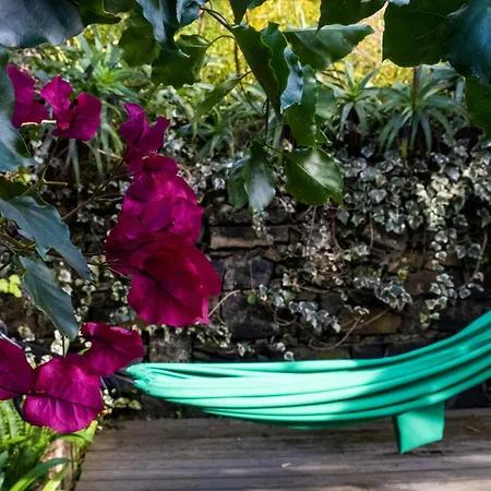 فيلة Casa Ponta Delgada